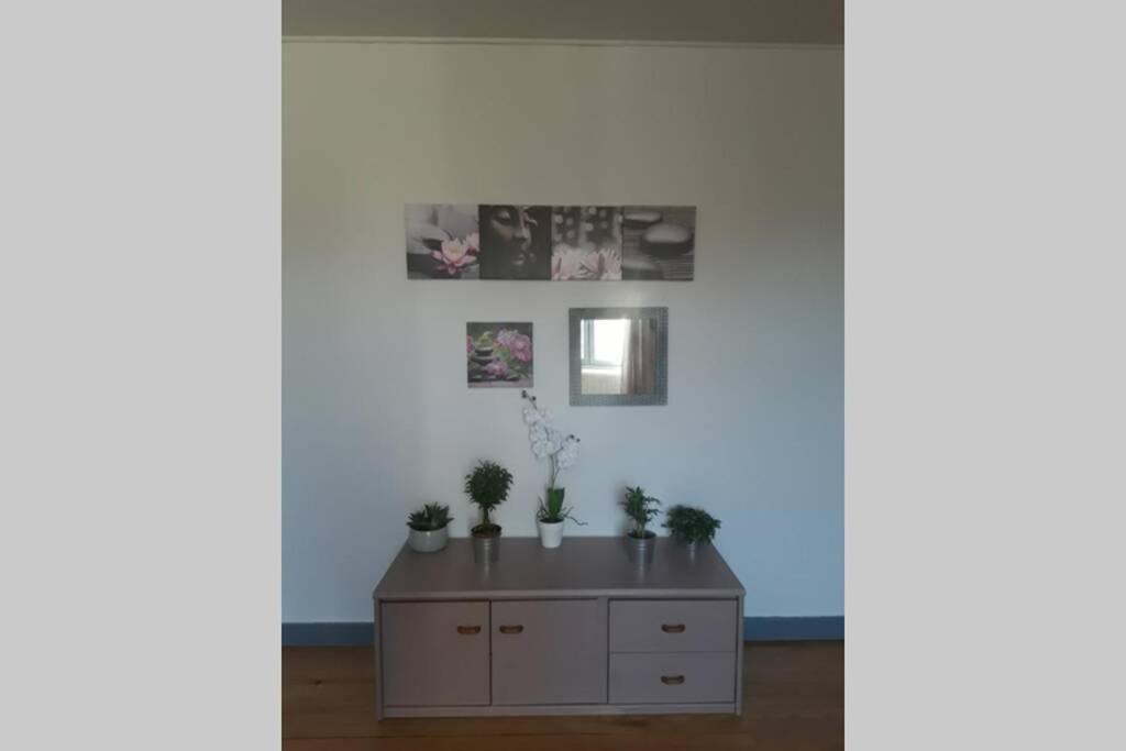 Appartement Chaleureux De 82M2 Proche De Vulcania Pontaumur エクステリア 写真
